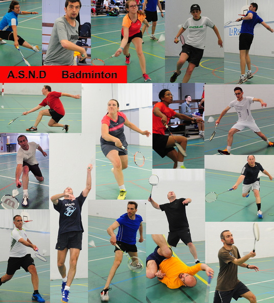 badminton 02.jpg