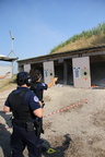 IMG 7438